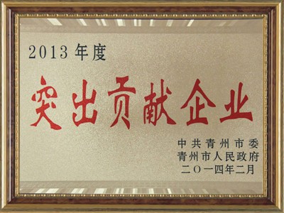 2013年度突出貢獻(xiàn)企業(yè)